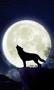 howling-wolf-live-wallpaper-1206676
